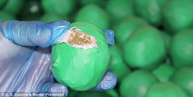Ngụy trang 2 tấn cần sa thành... chanh để buôn xuyên quốc gia - ảnh 2