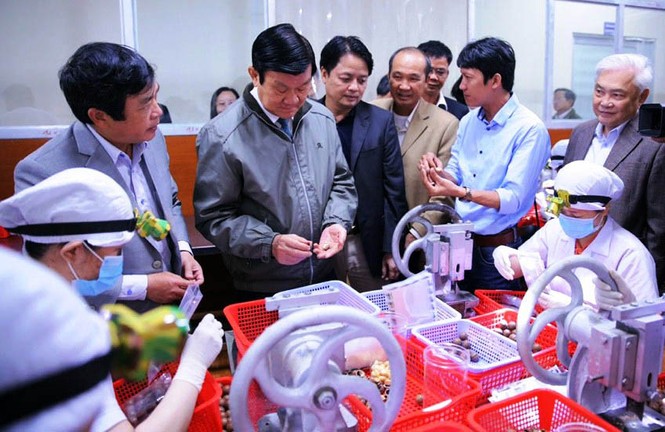 Cơ sở chế biến mắc ca khát… nguyên liệu - ảnh 2