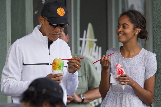 Gia đình Tổng thống Obama đón Năm mới như thế nào? - ảnh 1