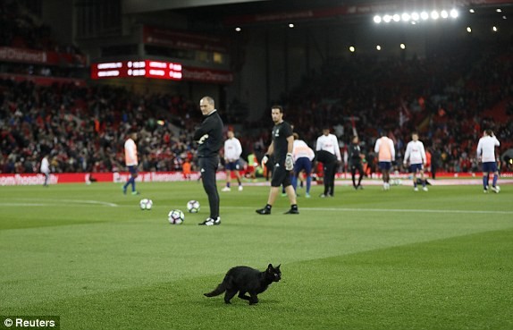 Liverpool vs M.U (0-0): Derby nước Anh chán ngán - ảnh 9