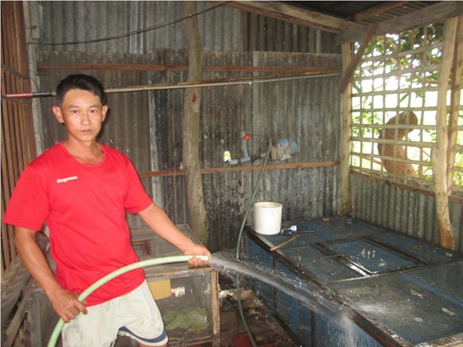 Nông dân miền Tây khóc ròng vì rắn - ảnh 2