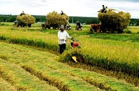 Agribank chung tay giải quyết “bài toán hóc búa” bảo hiểm nông nghiệp - ảnh 1