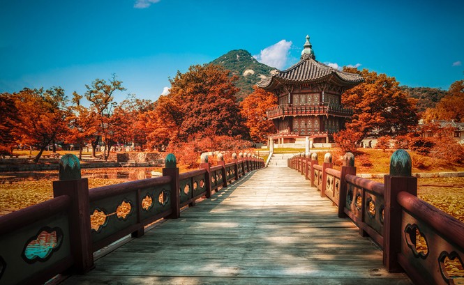 Hàn Quốc, Hồng Kông “đốt nóng” mùa dành cho phái đẹp - ảnh 2