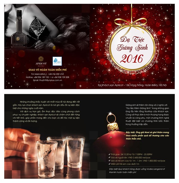 Dạ tiệc Giáng sinh 2016 cho cả gia đình - ảnh 2