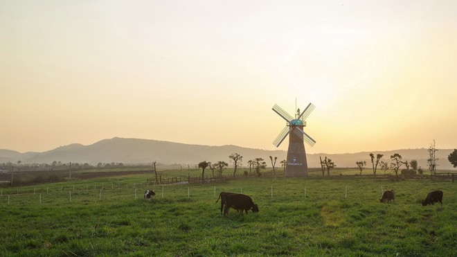 15 Gia đình may mắn nhất háo hức chuẩn bị cho hành trình Vinamilk Organic Farm Tour - ảnh 3