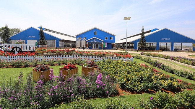 15 Gia đình may mắn nhất háo hức chuẩn bị cho hành trình Vinamilk Organic Farm Tour - ảnh 2