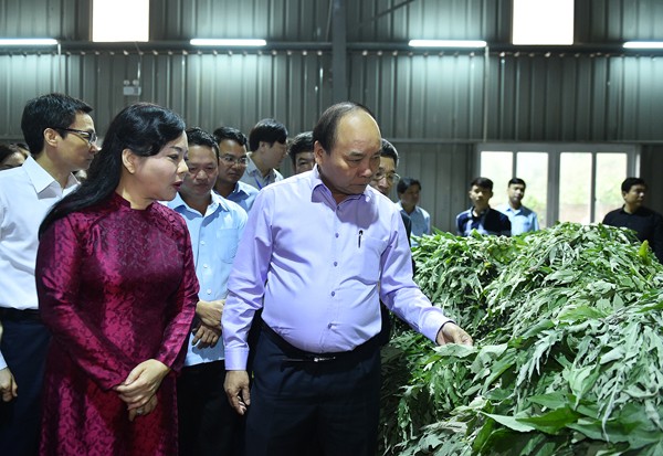Thủ tướng: Y học cổ truyền là một kho báu - ảnh 1