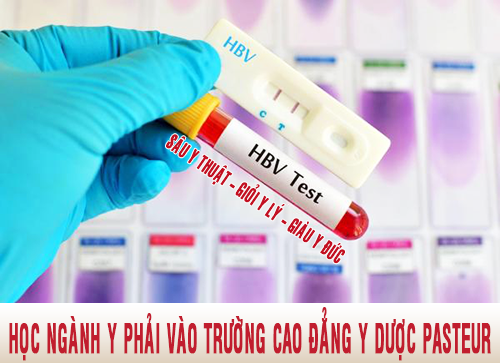 Xét tuyển Cao đẳng Y Dược Hà Nội - Trường Cao đẳng Y Dược Pasteur - ảnh 3
