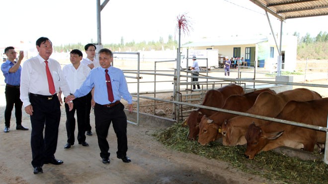 Agribank đồng hành cùng địa phương phát triển xanh, sạ - ảnh 4