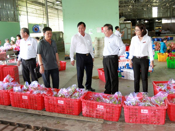 Agribank đồng hành cùng địa phương phát triển xanh, sạ - ảnh 3