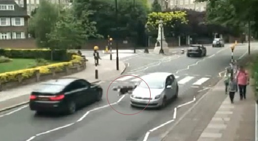 10 video ‘hot’: Đang lái máy xúc bị khối đá chục tấn đè bẹp - ảnh 4