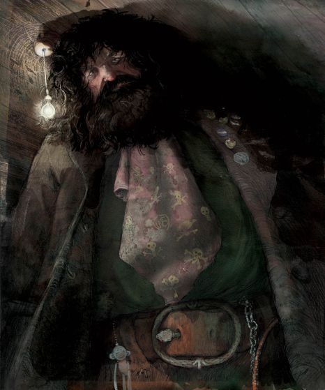 Harry Potter tái bản với tạo hình hoàn toàn mới - ảnh 5