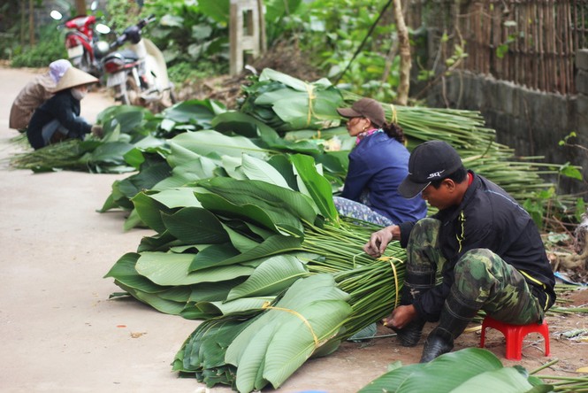 'Đột nhập' làng lá dong lớn nhất Hà thành vào giáp Tết - ảnh 8