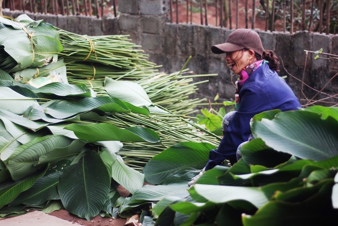 'Đột nhập' làng lá dong lớn nhất Hà thành vào giáp Tết - ảnh 17