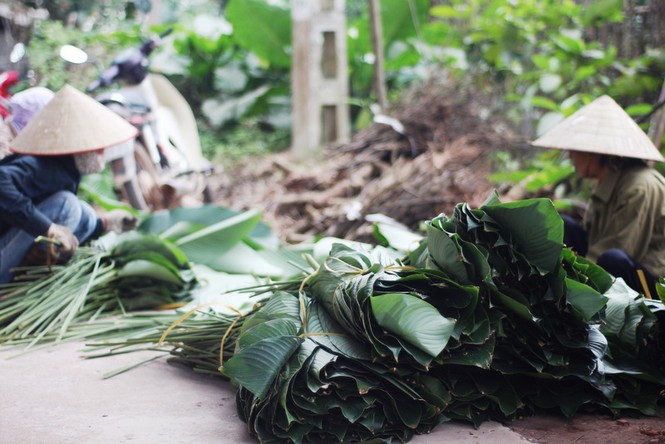 'Đột nhập' làng lá dong lớn nhất Hà thành vào giáp Tết - ảnh 14