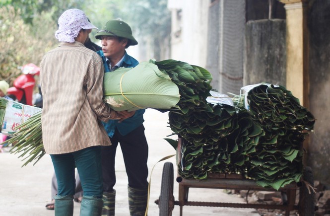 'Đột nhập' làng lá dong lớn nhất Hà thành vào giáp Tết - ảnh 9