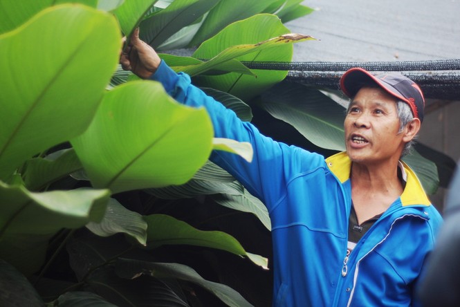 'Đột nhập' làng lá dong lớn nhất Hà thành vào giáp Tết - ảnh 16