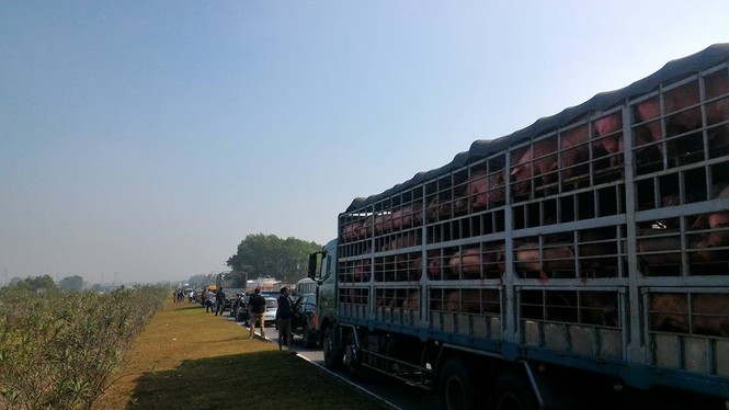 Lật xe tải, cao tốc Hà Nội - Thái Nguyên ùn gần 10km - ảnh 1