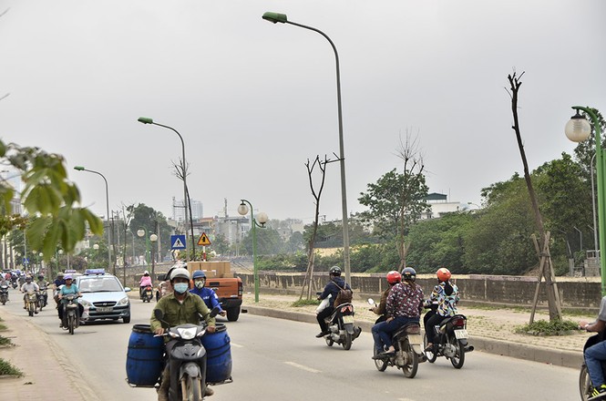 Hà Nội có thêm tuyến đường cây xanh chết khô, trơ trụi lá - ảnh 2