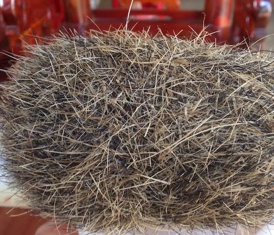 Mổ lợn nuôi 13 năm, phát hiện 'trư cát' tiền tỉ? - ảnh 1