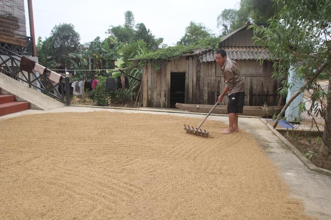 Khung cảnh tan hoang sau lũ lịch sử - ảnh 9