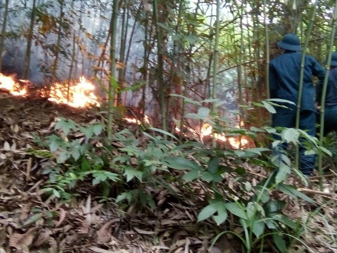 Chiến sĩ phòng không chữa cháy rừng - ảnh 1