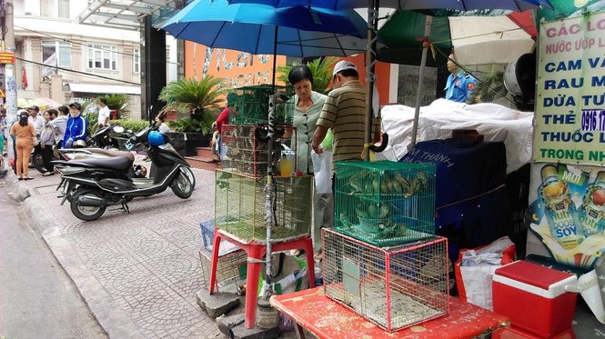 TPHCM: Chen chân đi lễ chùa, bãi giữ xe mọc như nấm - ảnh 12