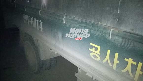 Metro, BigC, Lottemart Hà Nội 'bị lừa' bán rau không rõ nguồn gốc - ảnh 2