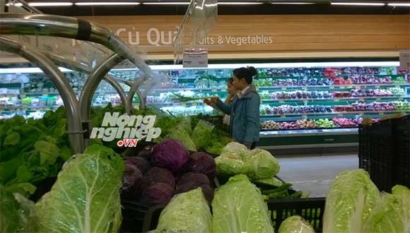 Metro, BigC, Lottemart Hà Nội 'bị lừa' bán rau không rõ nguồn gốc - ảnh 5