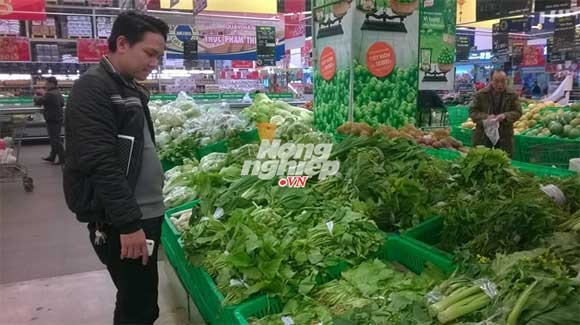 Metro, BigC, Lottemart Hà Nội 'bị lừa' bán rau không rõ nguồn gốc - ảnh 6