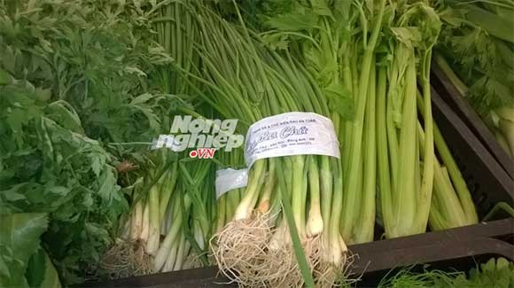 Metro, BigC, Lottemart Hà Nội 'bị lừa' bán rau không rõ nguồn gốc - ảnh 7