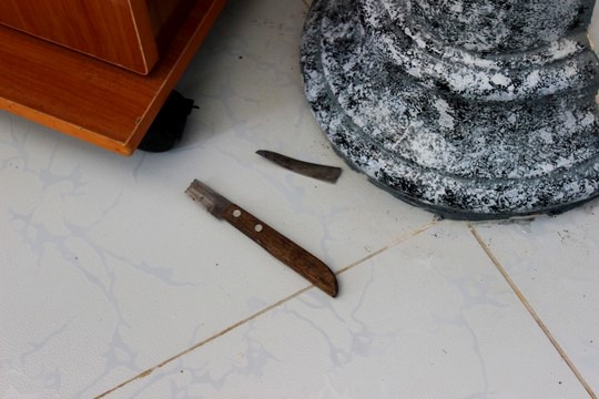 Thiếu niên 14 tuổi đâm hàng xóm chục nhát thừa nhận từng giết người - ảnh 2