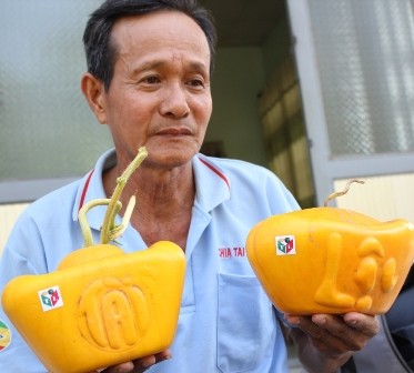 Trồng dưa hấu thỏi vàng thu tiền tỷ dịp Tết - ảnh 4