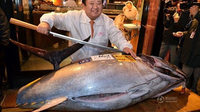Con cá ngừ 180kg trúng đấu giá 750 triệu đồng - ảnh 1