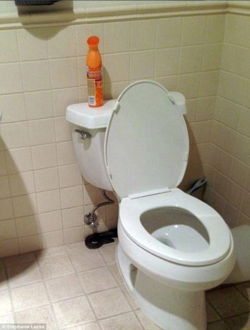 Kinh hãi phát hiện trăn dài 1,7m chui lên từ bồn cầu - ảnh 1