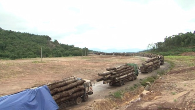 Hàng trăm xe tải “nằm chết” ở cửa khẩu vì công văn - ảnh 1