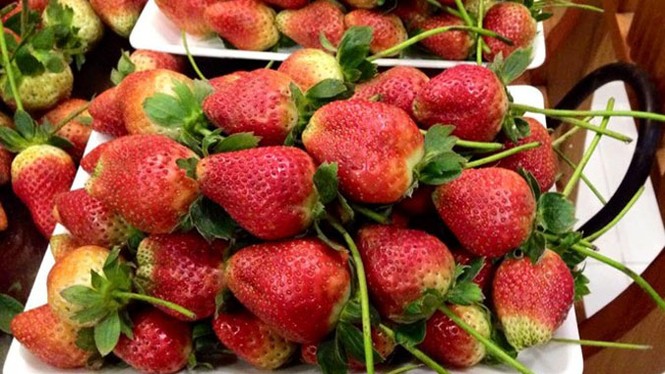 Vì sao giá 1 kg dâu tây Đà Lạt chênh nhau 300.000 đồng? - ảnh 3