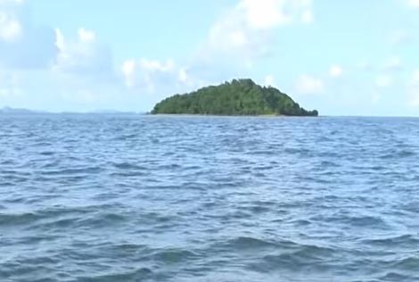 'Chúa đảo cô đơn' và biệt tài đoán thời tiết bằng... tai - ảnh 1