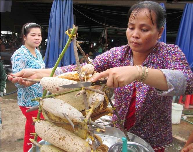 Vượt biên giới đi săn ong mật kiếm vài triệu mỗi ngày - ảnh 2