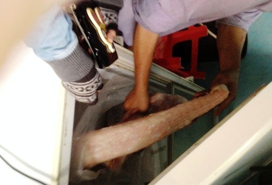 TPHCM: Tràn lan thịt cá sấu lề đường giá 50 ngàn/kg - ảnh 2