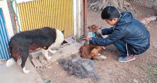 Xông đất thuê, hốt bạc triệu dịp Tết Nguyên đán - ảnh 1