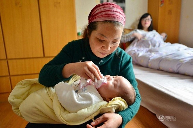 Lương 'khủng' của bảo mẫu Thượng Hải - ảnh 2