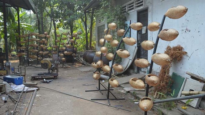 TPHCM tất bật tạo hình đường hoa tết Ất Mùi 2015 - ảnh 1