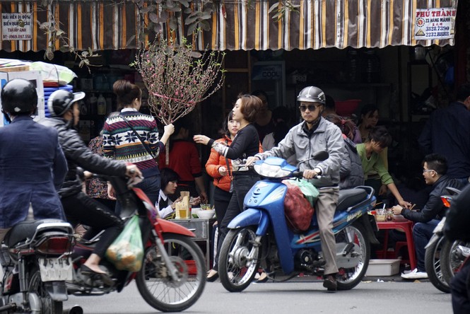 Những chuyến xe chở Tết 'chảy' về phố - ảnh 10