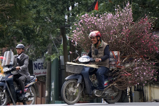 Những chuyến xe chở Tết 'chảy' về phố - ảnh 2
