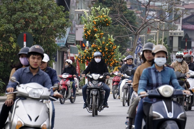 Những chuyến xe chở Tết 'chảy' về phố - ảnh 3
