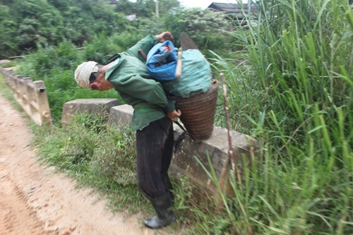 Xuyên rừng tìm Ngọc cẩu cường dương - ảnh 2