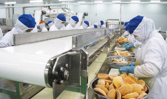 Long An quyết không đổi môi trường lấy dự án đầu tư - ảnh 1