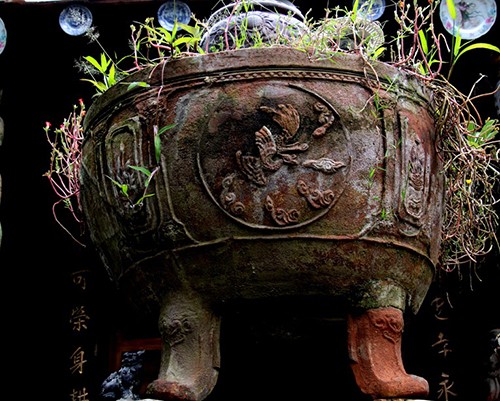 Bộ sưu tập nghìn món độc, lạ của lão 'dị nhân' miền Tây - ảnh 11