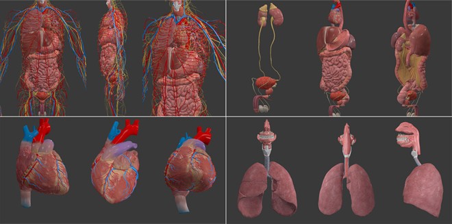 ĐH Duy Tân đoạt giải 'Tri thức Trẻ vì Giáo dục' với ứng dụng 3D cho y học - ảnh 1
